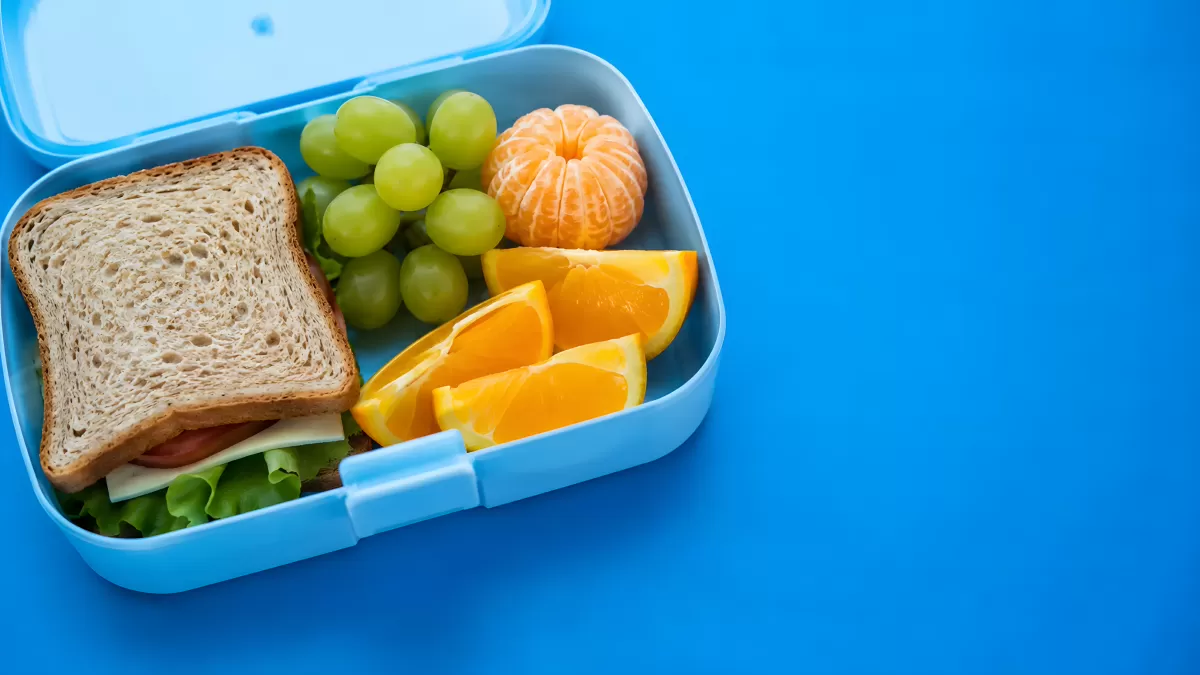 Bunte Brotdose mit Sandwich und frischen Früchten