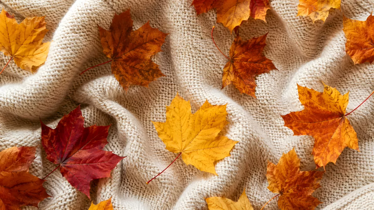 Bunte Herbstblätter auf cremefarbenem Strickstoff