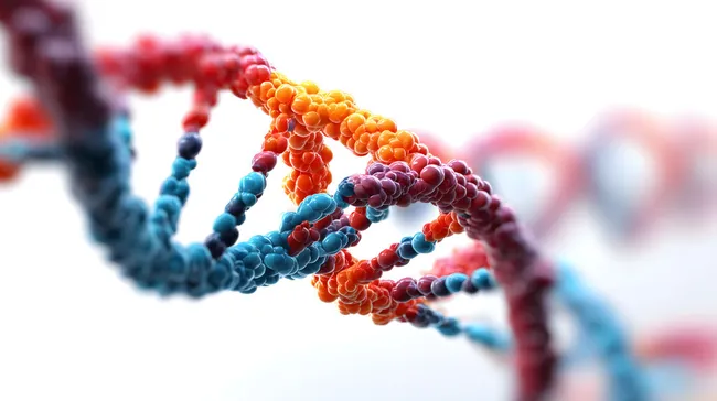 Bunte Molekülstruktur der DNA-Helix auf weißem Hintergrund