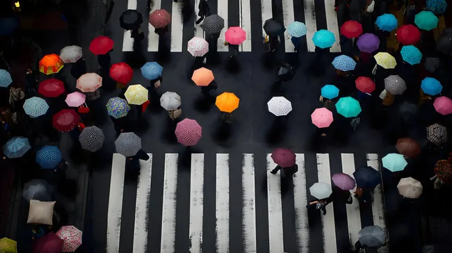 Bunte Regenschirme auf Zebrastreifen