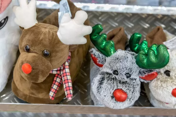 Bunte Rentier-Pantoffeln - IAW Köln 2018