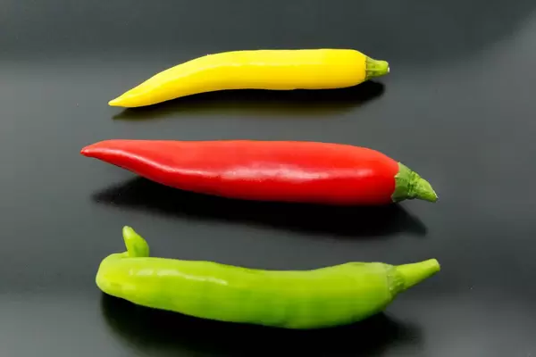 Bunte scharfe Parpikaschoten in grün, rot und gelb auf einem schwarzen Teller in der Nahaufnahme
