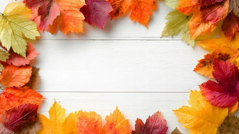 Bunter Herbstlaubrahmen auf weißem Holz mit Platz in der Mitte