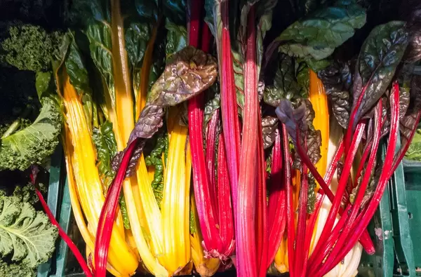 Bunter Mangold im Supermarkt