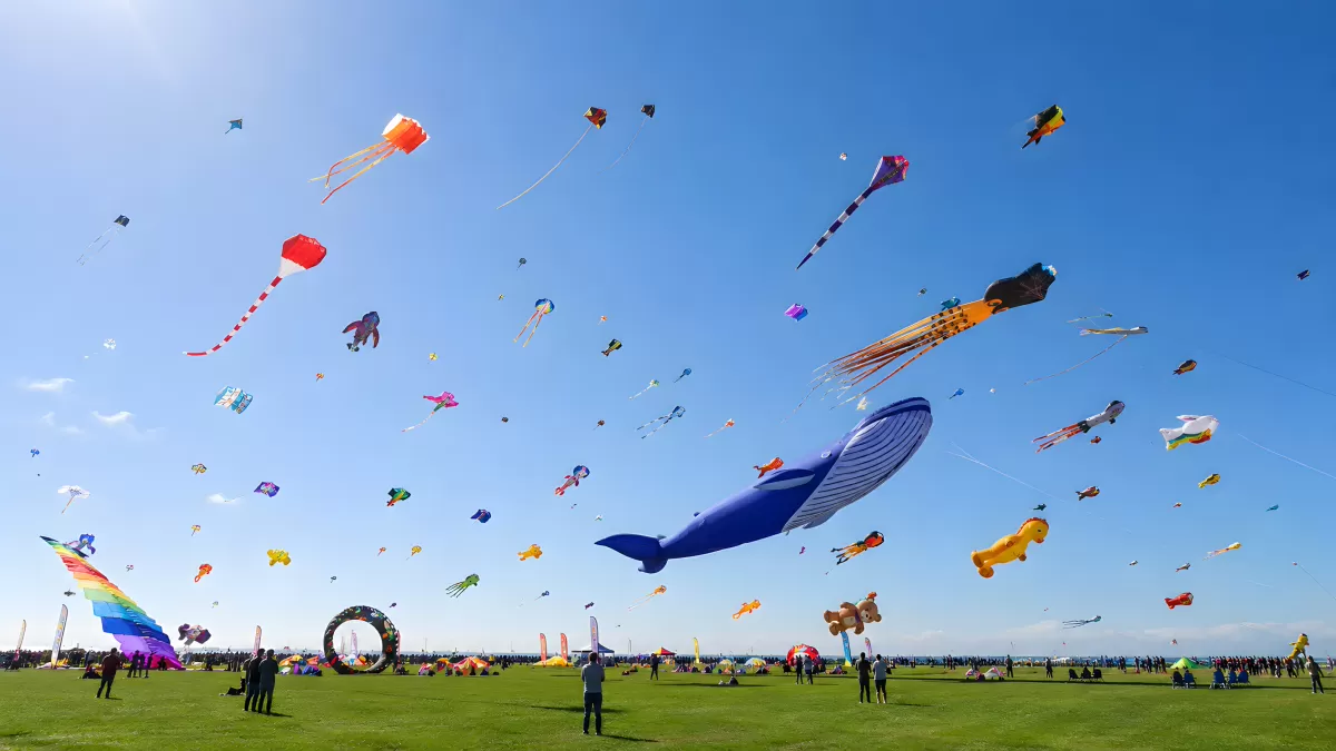 Buntes Drachenfestival mit riesigem Wal am blauen Himmel