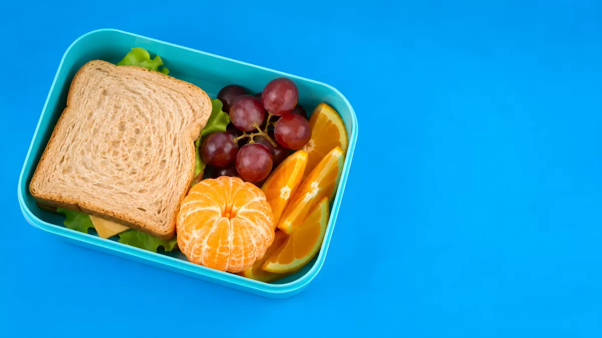 Buntes Schulbrot in türkiser Lunchbox mit Früchten