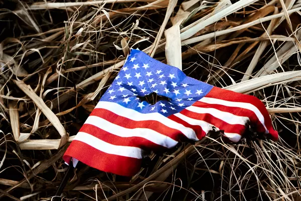 Burned american flag left in the dirt after riots at the capitol hill