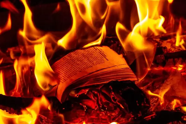 Burning book in the fire (Flip 2020)