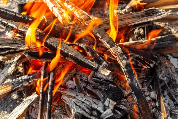 Burning fire in a bonfire, close-up
