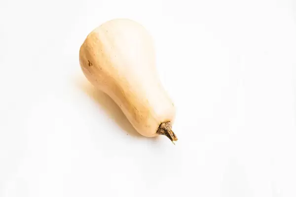 Butternut squash isolated on white background