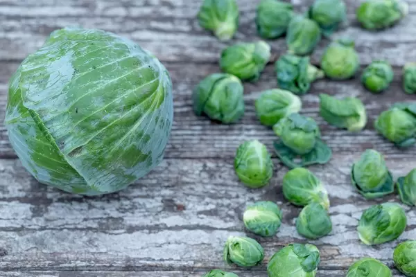Cabbage and Brussels sprouts on wooden background