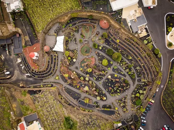 Cactus garden / Kaktus Garten