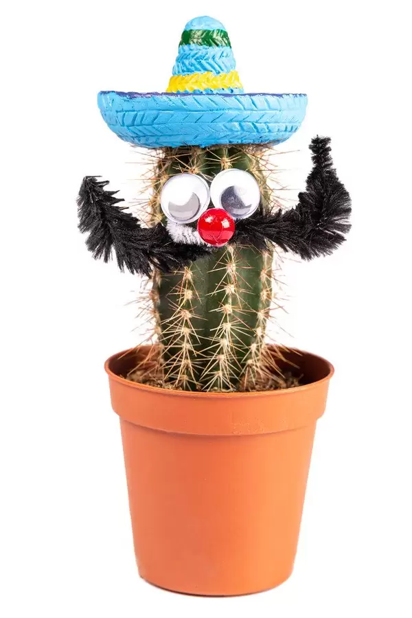 Cactus in Hawaiian hat with face and mustache