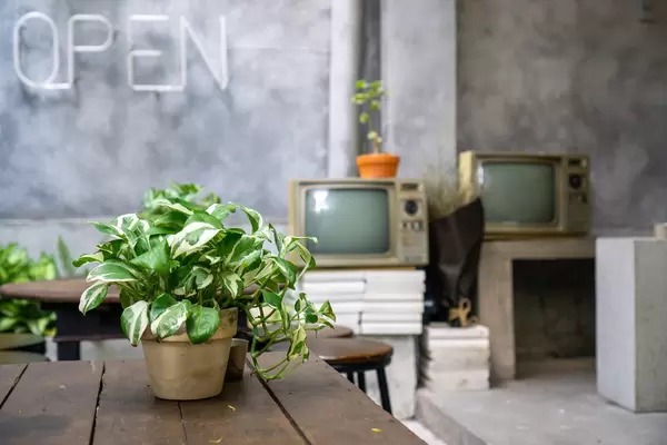 Cafe Outdoor Space with Seating Area, Vintage Television and Plants