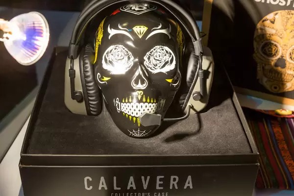 Calavera Collectors Case
