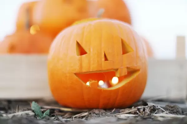 Candles in a carved pumpkin for Halloween (Flip 2019)