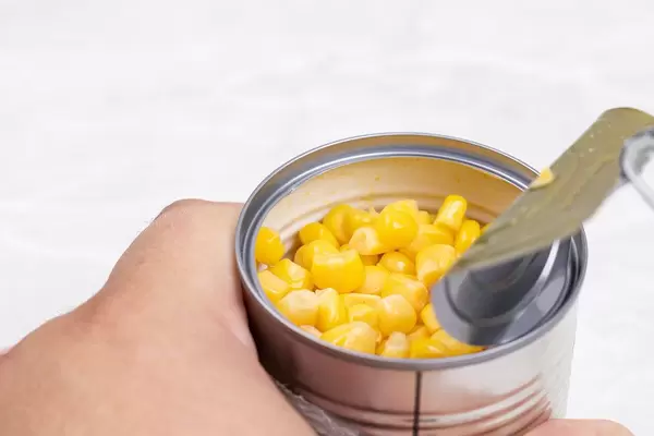 Canned cooked Corn in the hand with copy space