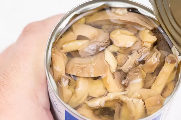 Canned sliced Mushrooms in the hand