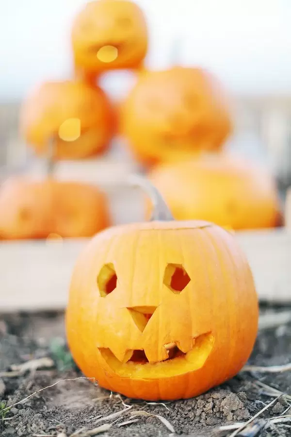 Carved pumpkin for Halloween (Flip 2019)