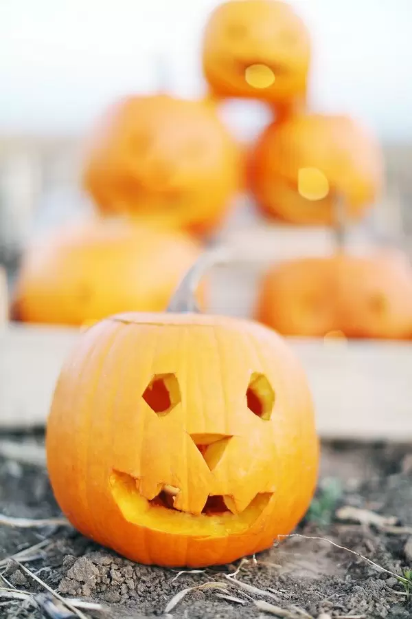 Carved pumpkin for Halloween