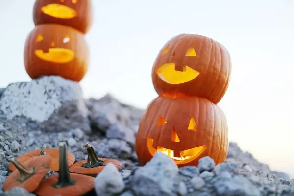 Carved pumpkins for Halloween, rocky ground (Flip 2019)