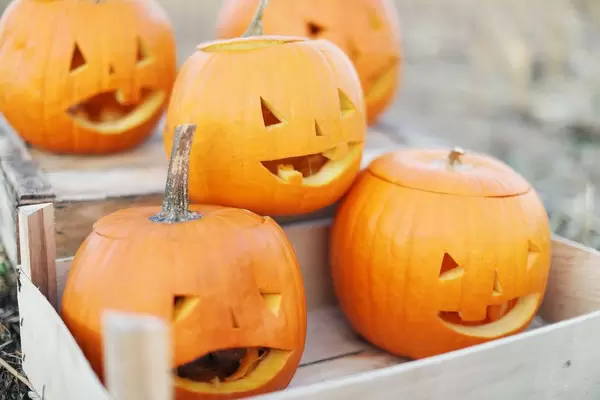 Carved pumpkins in a crate for Halloween party (Flip 2019)
