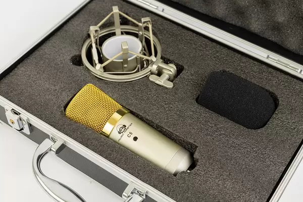 Case with Studio Microphone and Shockmount