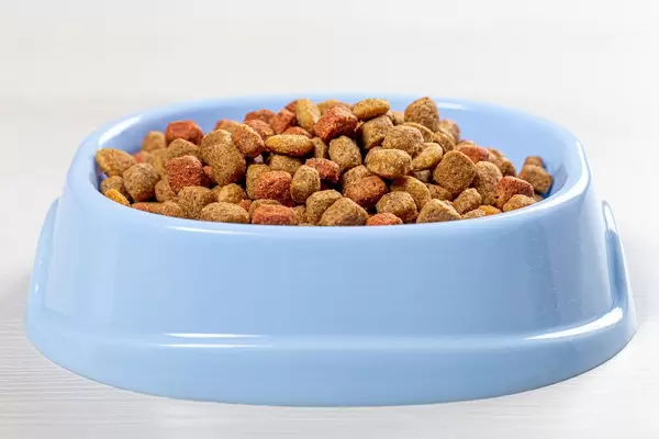Cat food in blue bowl on white wooden background (Flip 2019)