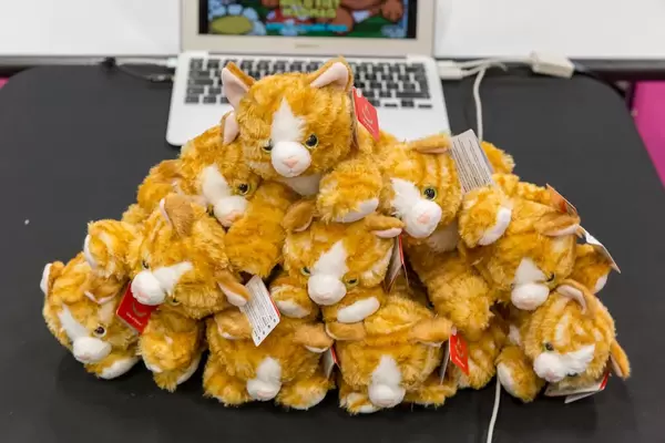 Cat plush toys in front of a laptop
