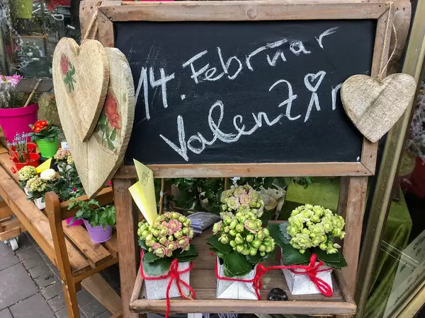 Celebrating valentines day with flowers and heart shaped wood