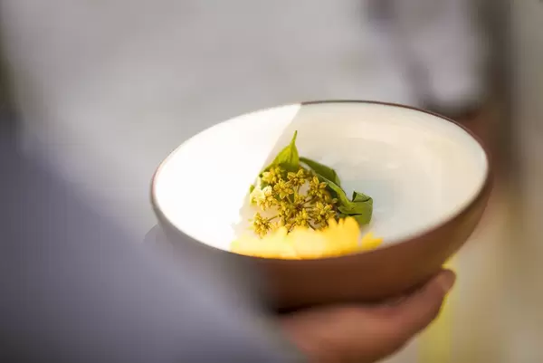Ceramic Bowl With Linden Floral Tea