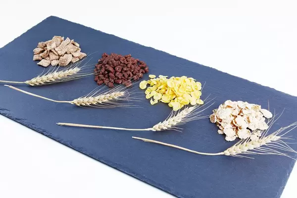 Cereal variety and wheat ears (Flip 2019)