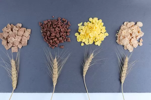 Cereals for breakfast, wheat ear (Flip 2019)
