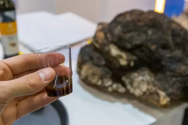 Chaga Health Elixir Supplement