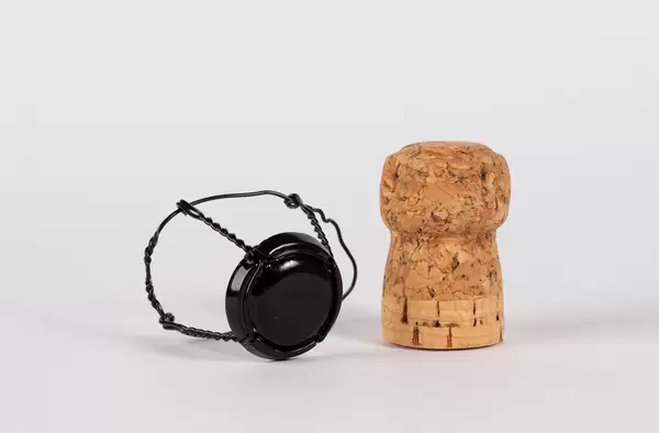 Champagne cork  Flip 2019