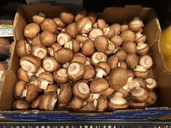 Champignons