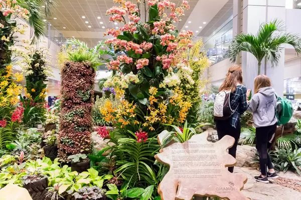 Changi Airport Singapore