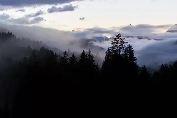 Charming alpine landscape with many trees, low-lying clouds and mountains at the horizon in Tyrol