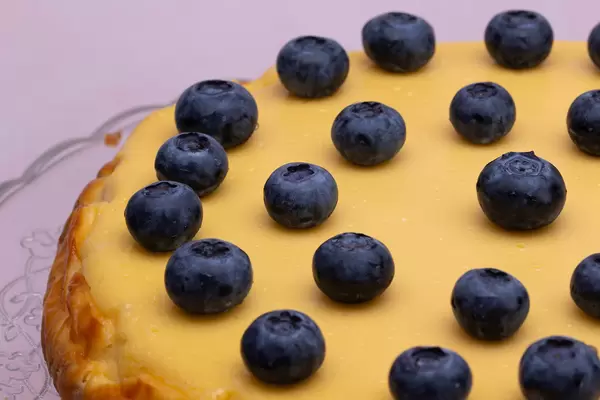 Cheesecake with blueberries