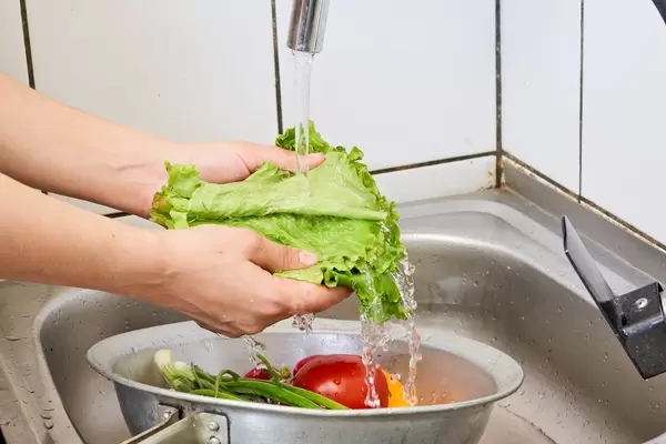 Chef washes a bunch of lettuce leaves under running water