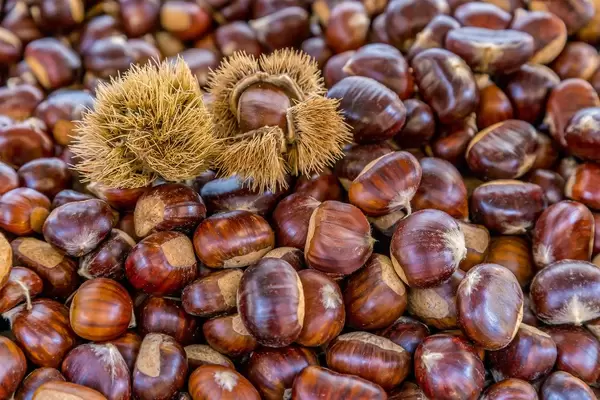 Chestnuts with cupules on marketplace