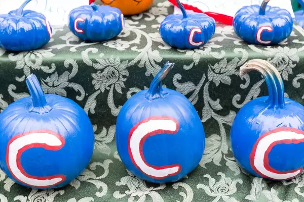Chicago Cubs Squashes