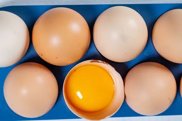 Chicken eggs in an egg box