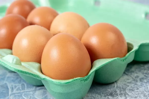 Chicken Eggs in the box (Flip 2019)