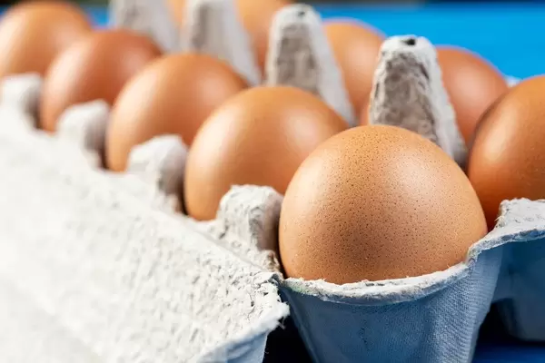 Chicken Eggs in the cardboard box (Flip 2019)