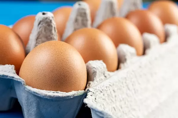Chicken Eggs in the cardboard box