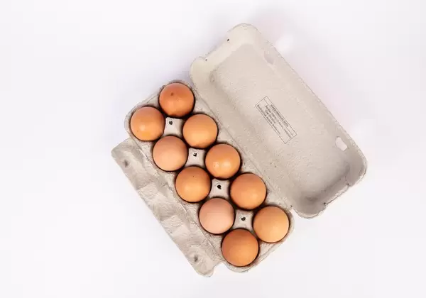 Chicken eggs in the package
