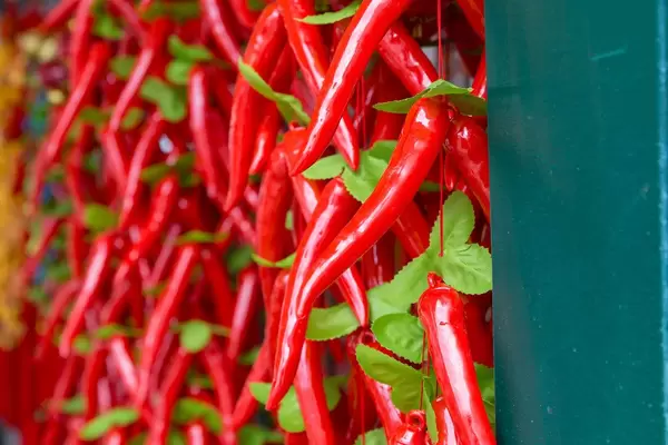 Chili peppers made of plastic at Naschmarkt in Vienna
