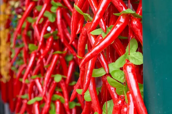 Chilischoten aus Plastik am Wiener Naschmarkt
