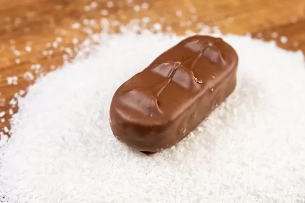 Chocolate Candy with Coconut on Grated Coconut